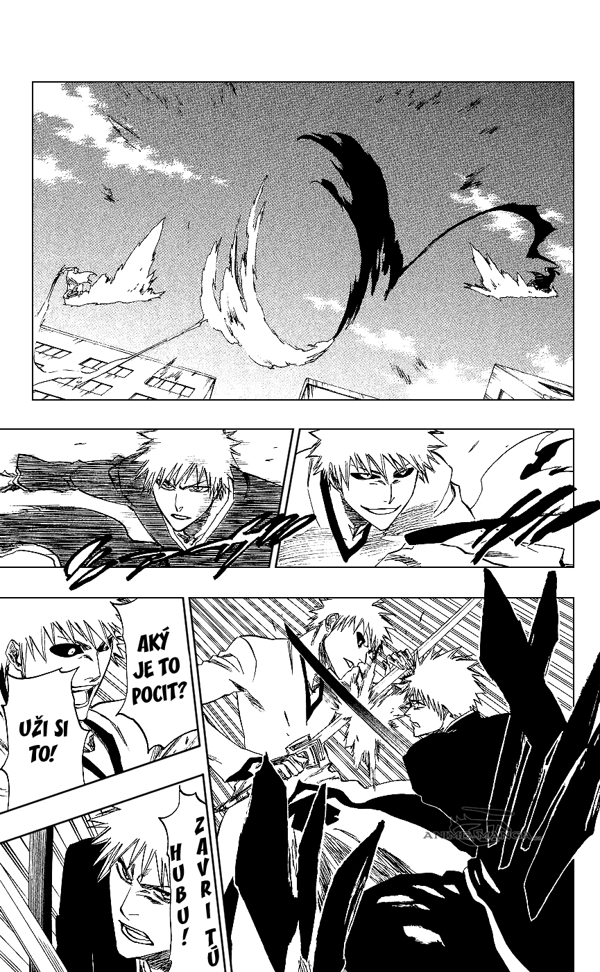 Bleach 219 07 kopie.jpg